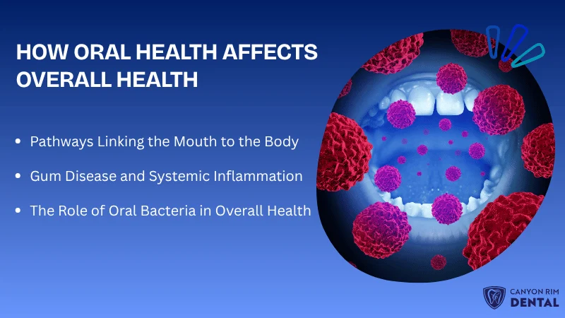 How the Mouth-Body Connection Works