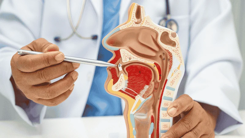 oral inflammation systemic health